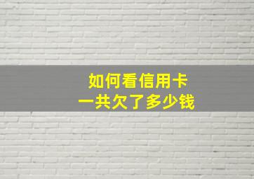 如何看信用卡一共欠了多少钱