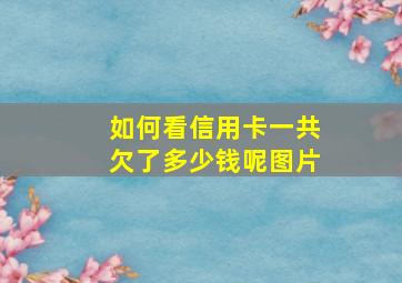 如何看信用卡一共欠了多少钱呢图片