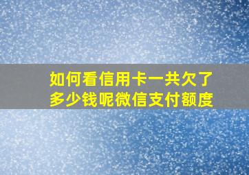 如何看信用卡一共欠了多少钱呢微信支付额度