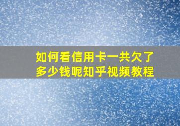 如何看信用卡一共欠了多少钱呢知乎视频教程