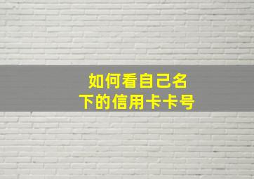 如何看自己名下的信用卡卡号