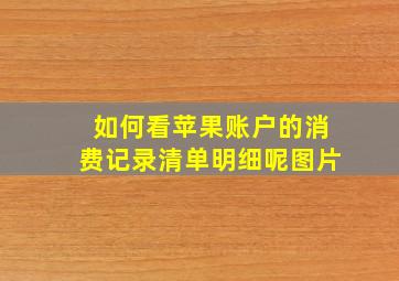 如何看苹果账户的消费记录清单明细呢图片