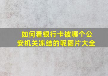 如何看银行卡被哪个公安机关冻结的呢图片大全