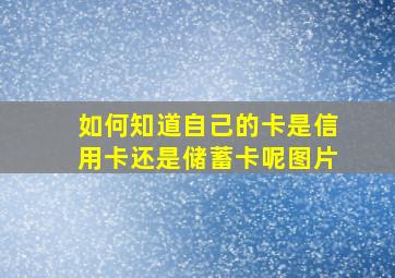 如何知道自己的卡是信用卡还是储蓄卡呢图片