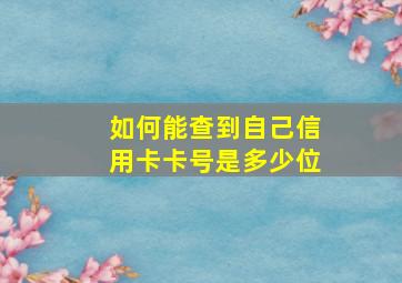 如何能查到自己信用卡卡号是多少位