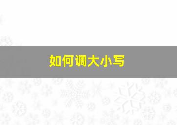 如何调大小写