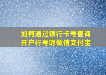 如何通过银行卡号查询开户行号呢微信支付宝