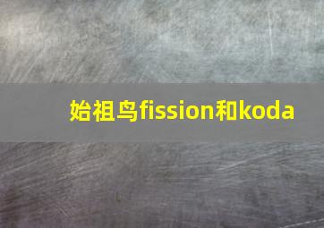 始祖鸟fission和koda