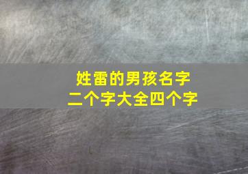 姓雷的男孩名字二个字大全四个字