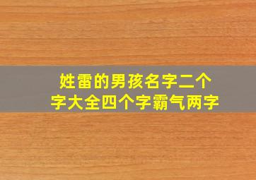 姓雷的男孩名字二个字大全四个字霸气两字