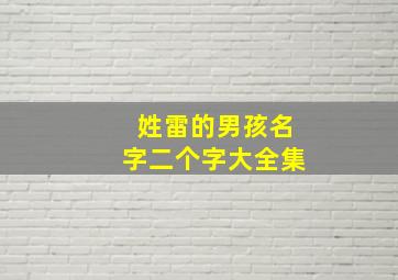 姓雷的男孩名字二个字大全集