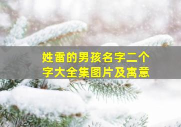 姓雷的男孩名字二个字大全集图片及寓意