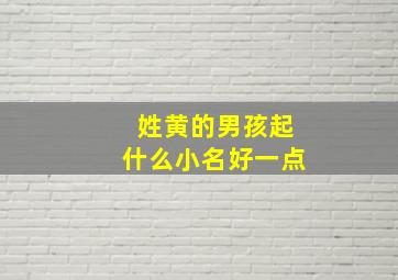 姓黄的男孩起什么小名好一点