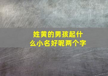 姓黄的男孩起什么小名好呢两个字