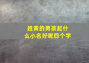 姓黄的男孩起什么小名好呢四个字