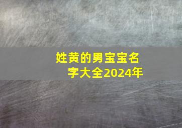 姓黄的男宝宝名字大全2024年