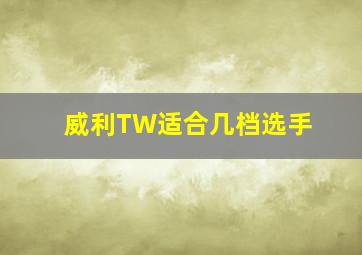 威利TW适合几档选手