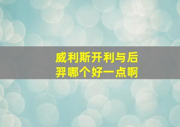 威利斯开利与后羿哪个好一点啊