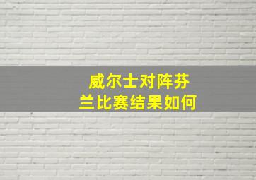 威尔士对阵芬兰比赛结果如何