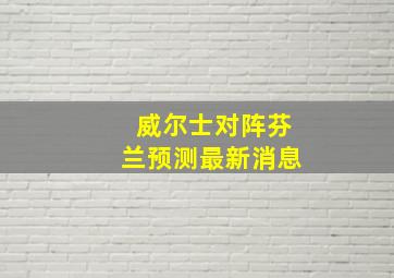 威尔士对阵芬兰预测最新消息