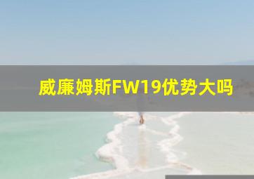 威廉姆斯FW19优势大吗