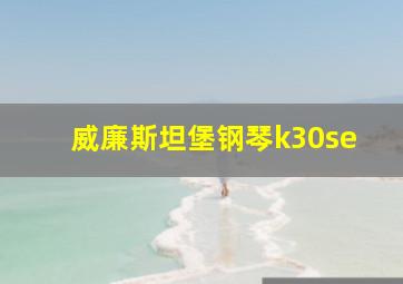 威廉斯坦堡钢琴k30se