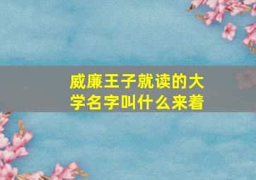 威廉王子就读的大学名字叫什么来着