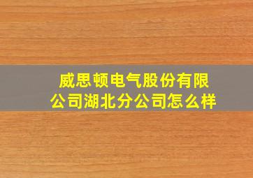 威思顿电气股份有限公司湖北分公司怎么样