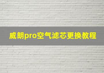 威朗pro空气滤芯更换教程