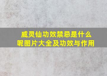 威灵仙功效禁忌是什么呢图片大全及功效与作用