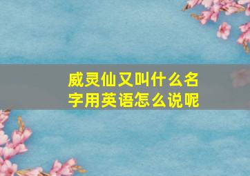 威灵仙又叫什么名字用英语怎么说呢