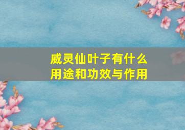 威灵仙叶子有什么用途和功效与作用