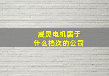 威灵电机属于什么档次的公司