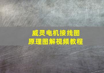 威灵电机接线图原理图解视频教程