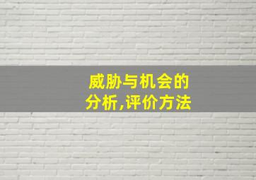 威胁与机会的分析,评价方法