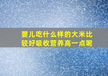 婴儿吃什么样的大米比较好吸收营养高一点呢