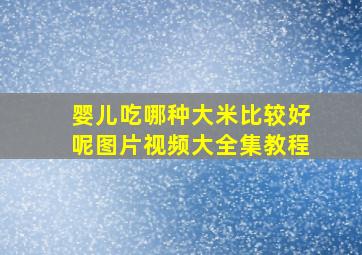 婴儿吃哪种大米比较好呢图片视频大全集教程