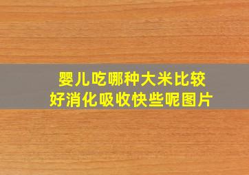 婴儿吃哪种大米比较好消化吸收快些呢图片