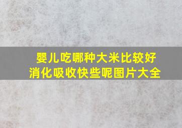 婴儿吃哪种大米比较好消化吸收快些呢图片大全