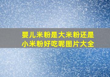 婴儿米粉是大米粉还是小米粉好吃呢图片大全