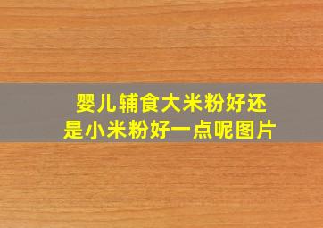 婴儿辅食大米粉好还是小米粉好一点呢图片