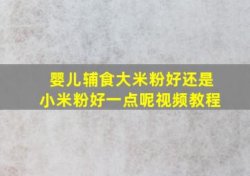 婴儿辅食大米粉好还是小米粉好一点呢视频教程