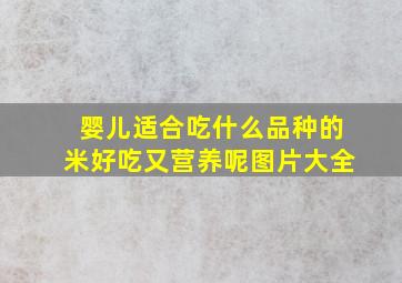 婴儿适合吃什么品种的米好吃又营养呢图片大全