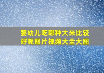 婴幼儿吃哪种大米比较好呢图片视频大全大图