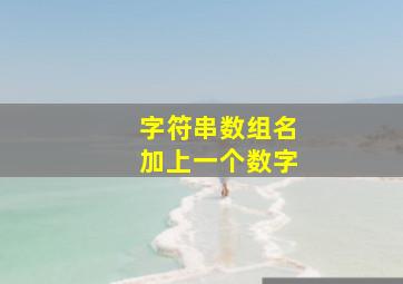 字符串数组名加上一个数字