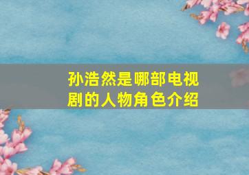 孙浩然是哪部电视剧的人物角色介绍