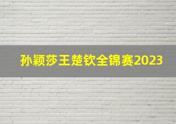 孙颖莎王楚钦全锦赛2023