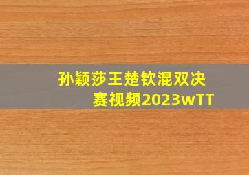 孙颖莎王楚钦混双决赛视频2023wTT