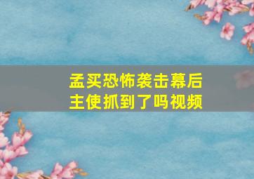 孟买恐怖袭击幕后主使抓到了吗视频