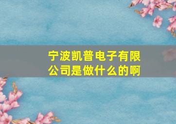 宁波凯普电子有限公司是做什么的啊